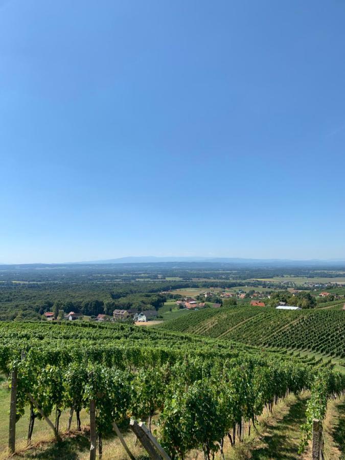 Weinberg Klöch